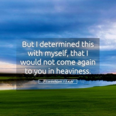 Picture 05 - 2 Corinthians 2:1 KJV - But I determined this with myself, that I would - Bible Verse Picture