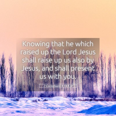 Picture 05 - 2 Corinthians 4:14 KJV - Knowing that he which raised up the Lord Jesus - Bible Verse Picture