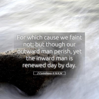 Picture 05 - 2 Corinthians 4:16 KJV - For which cause we faint not; but though our - Bible Verse Picture