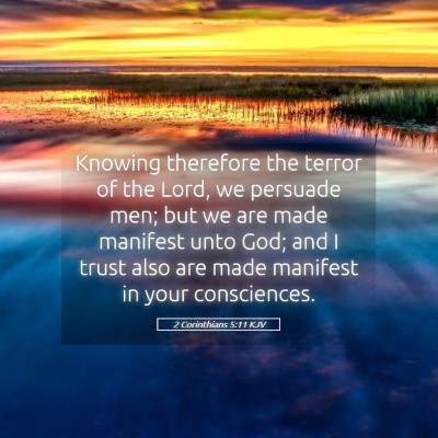 Picture 05 - 2 Corinthians 5:11 KJV - Knowing therefore the terror of the Lord, we - Bible Verse Picture
