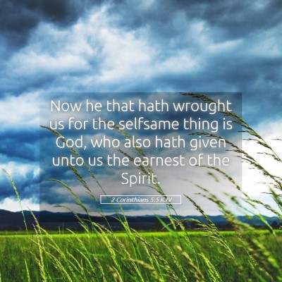 Picture 05 - 2 Corinthians 5:5 KJV - Now he that hath wrought us for the selfsame - Bible Verse Picture