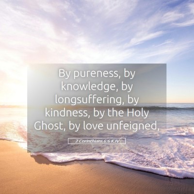 Picture 05 - 2 Corinthians 6:6 KJV - By pureness, by knowledge, by longsuffering, by - Bible Verse Picture