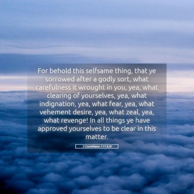 Picture 05 - 2 Corinthians 7:11 KJV - For behold this selfsame thing, that ye sorrowed - Bible Verse Picture