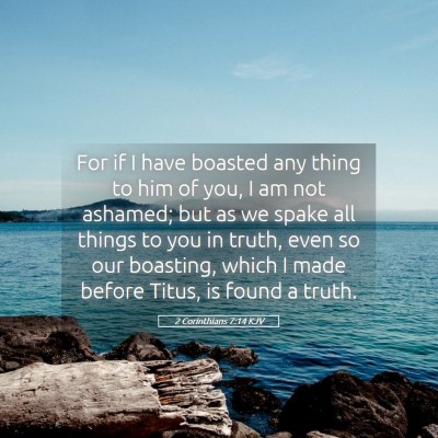 Picture 05 - 2 Corinthians 7:14 KJV - For if I have boasted any thing to him of you, I - Bible Verse Picture