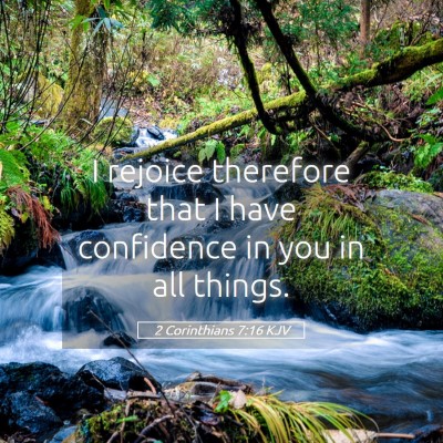 Picture 05 - 2 Corinthians 7:16 KJV - I rejoice therefore that I have confidence in you - Bible Verse Picture