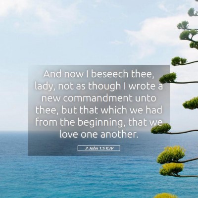 Picture 05 - 2 John 1:5 KJV - And now I beseech thee, lady, not as though I - Bible Verse Picture