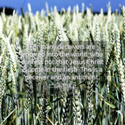 Picture 05 - 2 John 1:7 KJV - For many deceivers are entered into the world, - Bible Verse Picture