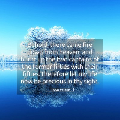 Picture 05 - 2 Kings 1:14 KJV - Behold, there came fire down from heaven, and - Bible Verse Picture
