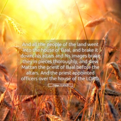 Picture 05 - 2 Kings 11:18 KJV - And all the people of the land went into the - Bible Verse Picture