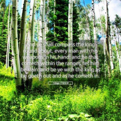 Picture 05 - 2 Kings 11:8 KJV - And ye shall compass the king round about, every - Bible Verse Picture