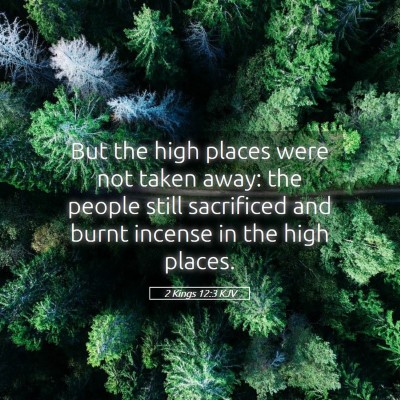 Picture 05 - 2 Kings 12:3 KJV - But the high places were not taken away: the - Bible Verse Picture