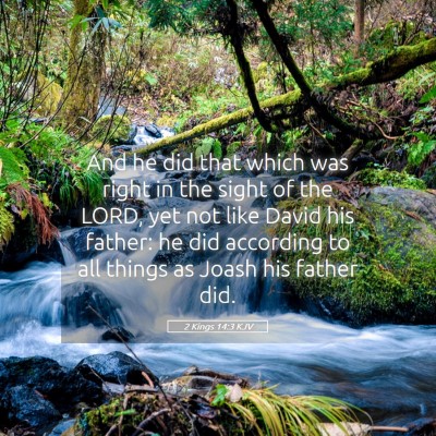 Picture 05 - 2 Kings 14:3 KJV - And he did that which was right in the sight of - Bible Verse Picture