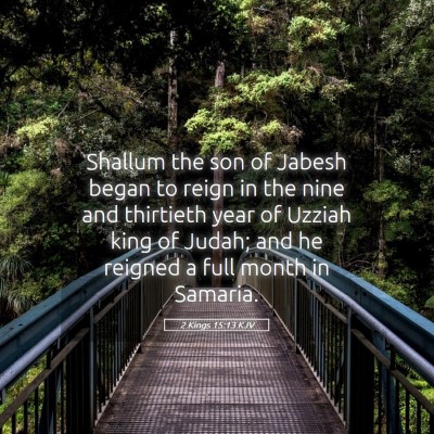 Picture 05 - 2 Kings 15:13 KJV - Shallum the son of Jabesh began to reign in the - Bible Verse Picture