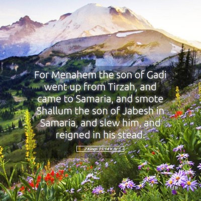 Picture 05 - 2 Kings 15:14 KJV - For Menahem the son of Gadi went up from Tirzah, - Bible Verse Picture