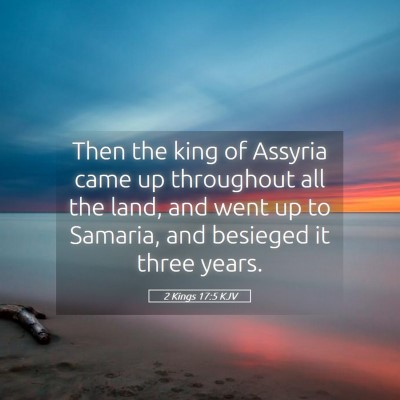 Picture 05 - 2 Kings 17:5 KJV - Then the king of Assyria came up throughout all - Bible Verse Picture