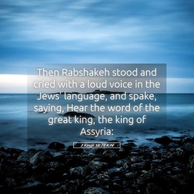 Picture 05 - 2 Kings 18:28 KJV - Then Rabshakeh stood and cried with a loud voice - Bible Verse Picture
