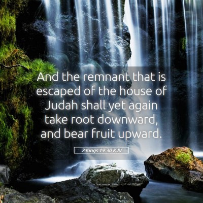 Picture 05 - 2 Kings 19:30 KJV - And the remnant that is escaped of the house of - Bible Verse Picture