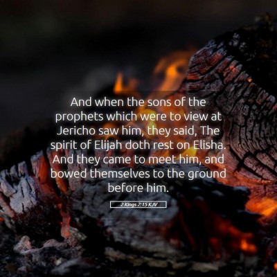 Picture 05 - 2 Kings 2:15 KJV - And when the sons of the prophets which were to - Bible Verse Picture