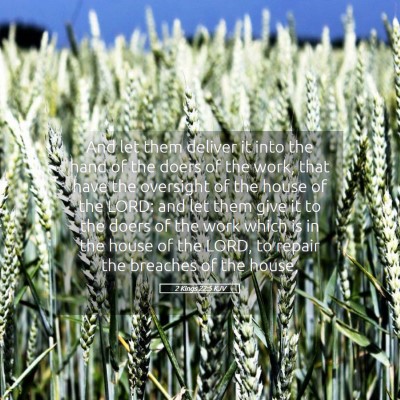 Picture 05 - 2 Kings 22:5 KJV - And let them deliver it into the hand of the - Bible Verse Picture