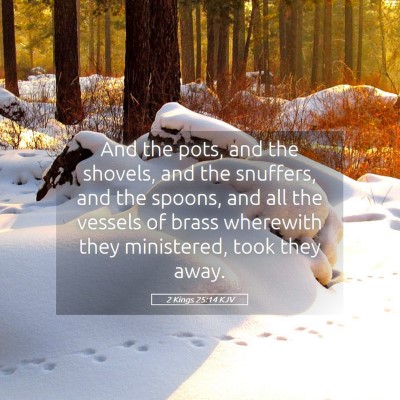 Picture 05 - 2 Kings 25:14 KJV - And the pots, and the shovels, and the snuffers, - Bible Verse Picture