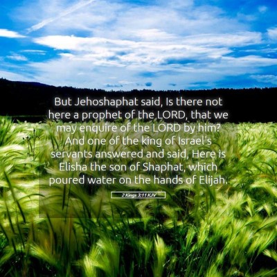 Picture 05 - 2 Kings 3:11 KJV - But Jehoshaphat said, Is there not here a prophet - Bible Verse Picture