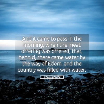 Picture 05 - 2 Kings 3:20 KJV - And it came to pass in the morning, when the meat - Bible Verse Picture
