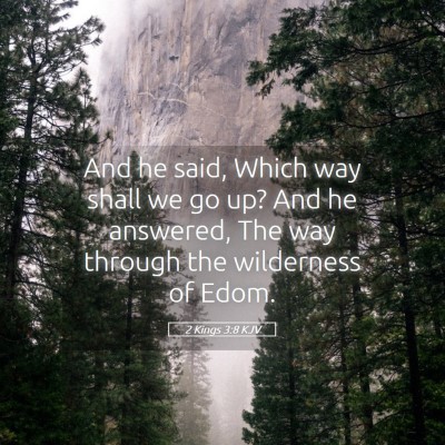 Picture 05 - 2 Kings 3:8 KJV - And he said, Which way shall we go up? And he - Bible Verse Picture