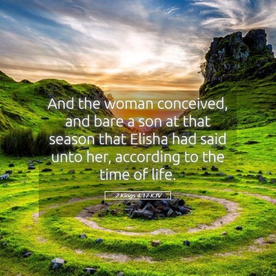 Picture 05 - 2 Kings 4:17 KJV - And the woman conceived, and bare a son at that - Bible Verse Picture
