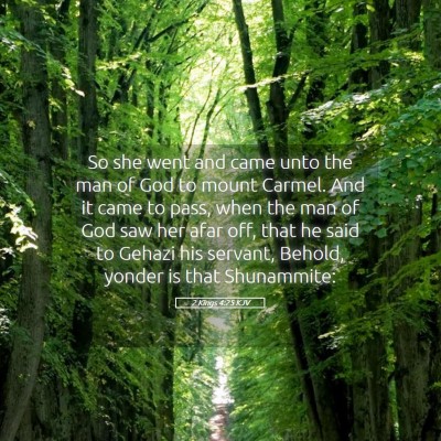 Picture 05 - 2 Kings 4:25 KJV - So she went and came unto the man of God to mount - Bible Verse Picture