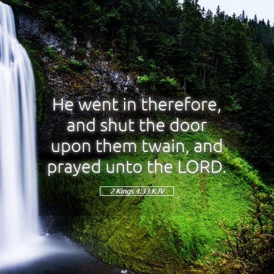 Picture 05 - 2 Kings 4:33 KJV - He went in therefore, and shut the door upon them - Bible Verse Picture
