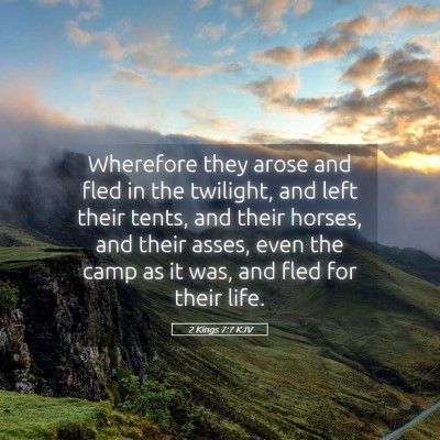 Picture 05 - 2 Kings 7:7 KJV - Wherefore they arose and fled in the twilight, - Bible Verse Picture