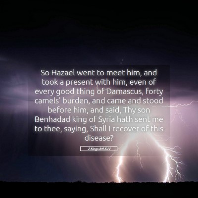 Picture 05 - 2 Kings 8:9 KJV - So Hazael went to meet him, and took a present - Bible Verse Picture