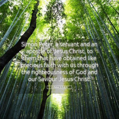 Picture 05 - 2 Peter 1:1 KJV - Simon Peter, a servant and an apostle of Jesus - Bible Verse Picture