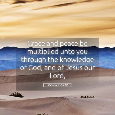 Picture 05 - 2 Peter 1:2 KJV - Grace and peace be multiplied unto you through - Bible Verse Picture