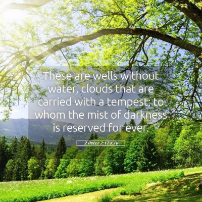 Picture 05 - 2 Peter 2:17 KJV - These are wells without water, clouds that are - Bible Verse Picture