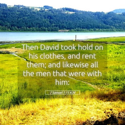 Picture 05 - 2 Samuel 1:11 KJV - Then David took hold on his clothes, and rent - Bible Verse Picture