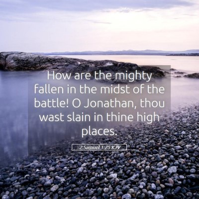 Picture 05 - 2 Samuel 1:25 KJV - How are the mighty fallen in the midst of the - Bible Verse Picture