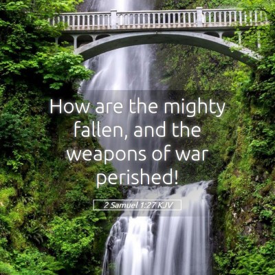 Picture 05 - 2 Samuel 1:27 KJV - How are the mighty fallen, and the weapons of war - Bible Verse Picture