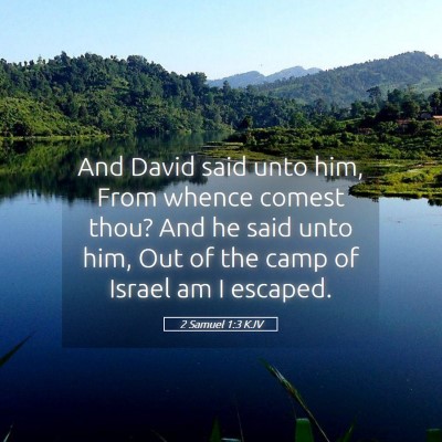 Picture 05 - 2 Samuel 1:3 KJV - And David said unto him, From whence comest thou? - Bible Verse Picture