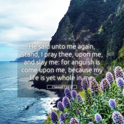 Picture 05 - 2 Samuel 1:9 KJV - He said unto me again, Stand, I pray thee, upon - Bible Verse Picture