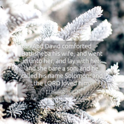 Picture 05 - 2 Samuel 12:24 KJV - And David comforted Bathsheba his wife, and went - Bible Verse Picture
