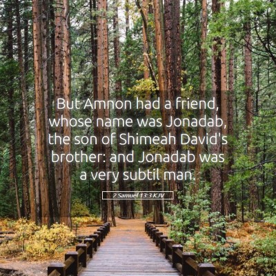 Picture 05 - 2 Samuel 13:3 KJV - But Amnon had a friend, whose name was Jonadab, - Bible Verse Picture