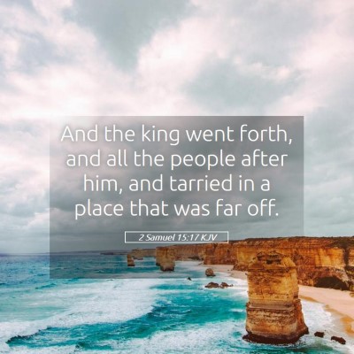 Picture 05 - 2 Samuel 15:17 KJV - And the king went forth, and all the people after - Bible Verse Picture