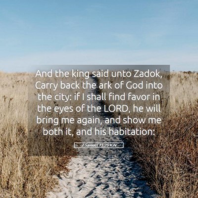 Picture 05 - 2 Samuel 15:25 KJV - And the king said unto Zadok, Carry back the ark - Bible Verse Picture