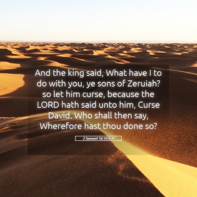 Picture 05 - 2 Samuel 16:10 KJV - And the king said, What have I to do with you, ye - Bible Verse Picture