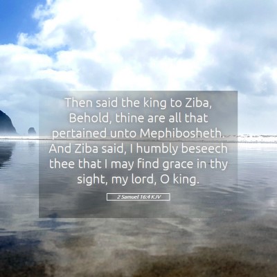 Picture 05 - 2 Samuel 16:4 KJV - Then said the king to Ziba, Behold, thine are all - Bible Verse Picture