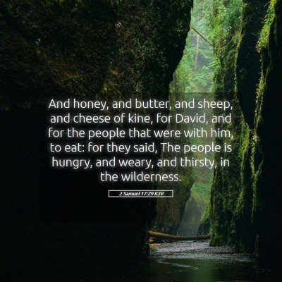 Picture 05 - 2 Samuel 17:29 KJV - And honey, and butter, and sheep, and cheese of - Bible Verse Picture