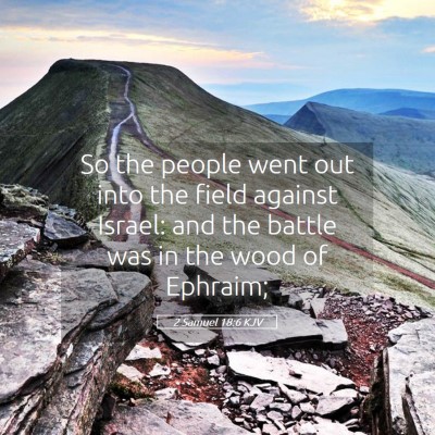 Picture 05 - 2 Samuel 18:6 KJV - So the people went out into the field against - Bible Verse Picture