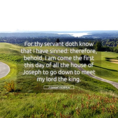 Picture 05 - 2 Samuel 19:20 KJV - For thy servant doth know that I have sinned: - Bible Verse Picture