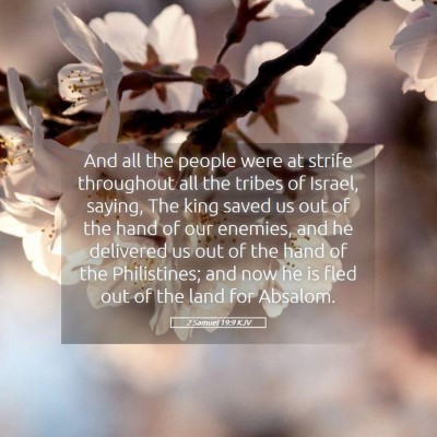 Picture 05 - 2 Samuel 19:9 KJV - And all the people were at strife throughout all - Bible Verse Picture